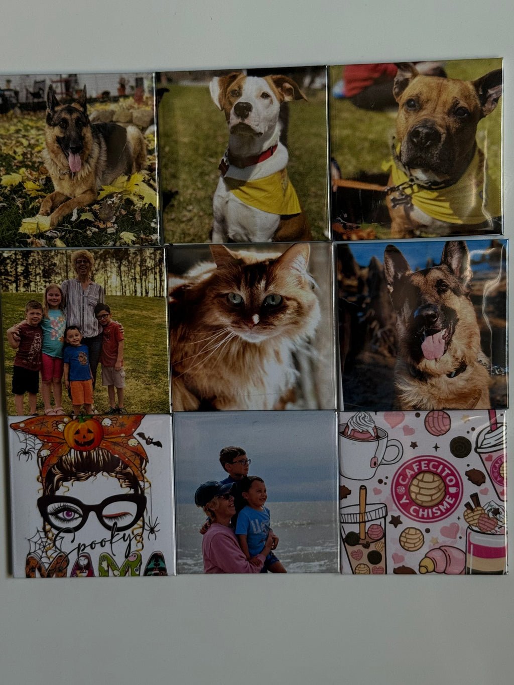 Collage of various images including dogs and people on a textured surface.